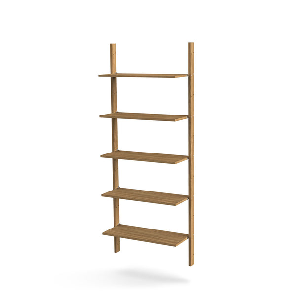 MAZO MOD Shelving System with Oak