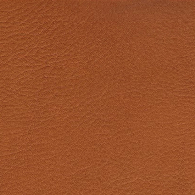 Bent Hansen - Adrian Leather Sample